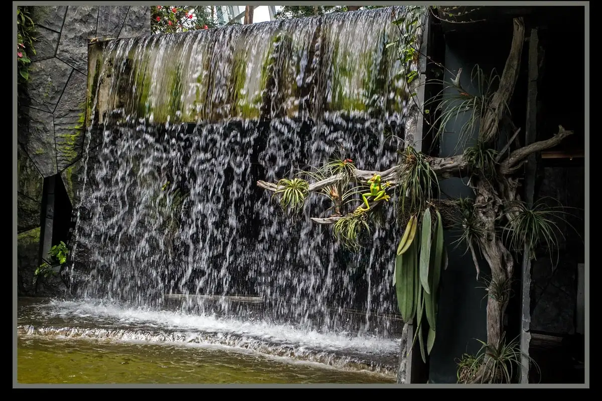 The 35-metre indoor waterfall at Cloud Forest, Gardens by the Bay
