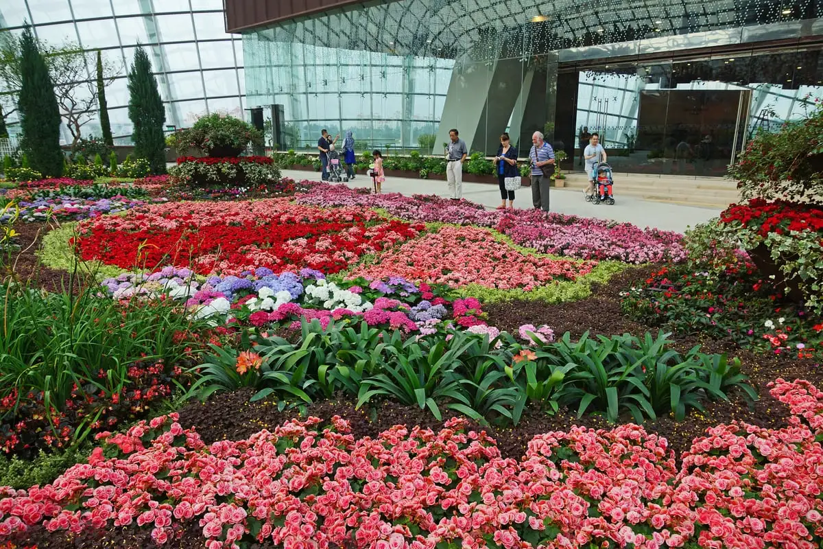 Seasonal planting in the central Flower Field of the Flower Dome