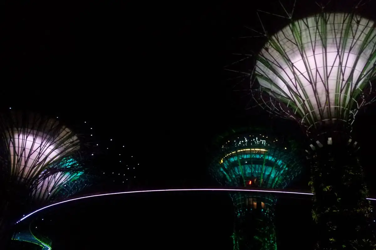 Visitors lying on the lawn beneath the Supertrees during Garden Rhapsody